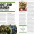 The DC Book - thumbnail of spread image 5 Thumbnail image of The DC Book - 5