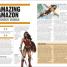 The DC Book - thumbnail of spread image 8 Thumbnail image of The DC Book - 8