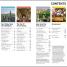 DK Eyewitness Top 10 New York City - thumbnail of spread image 1 Thumbnail image of DK Eyewitness Top 10 New York City - 1