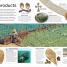 Ocean - thumbnail of spread image 3 Thumbnail image of Ocean - 3