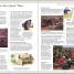 The Children's Pocket Bible - thumbnail of spread image 3 Thumbnail image of The Children's Pocket Bible - 3