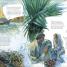 The Life of Jesus - thumbnail of spread image 2 Thumbnail image of The Life of Jesus - 2