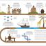 Thumbnail image of Timelines of Science - 9