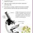 Super Simple Biology Revision Cards Key Stages 3 and 4 - thumbnail of spread image 1 Thumbnail image of Super Simple Biology Revision Cards Key Stages 3 and 4 - 1