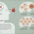 Thumbnail image of Simply Psychology - 9