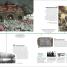 Thumbnail image of Timelines of World History - 5