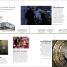 Thumbnail image of Timelines of World History - 6