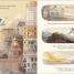 Adventures with Finn and Skip: Bird - thumbnail of spread image 2 Thumbnail image of Adventures with Finn and Skip: Bird - 2