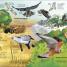 Thumbnail image of The Extraordinary World of Birds - 2