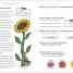 Mrs Wordsmith Year 2 English Wondrous Workbook, Ages 6–7 (Key Stage 2) - thumbnail of spread image 6 Thumbnail image of Mrs Wordsmith Year 2 English Wondrous Workbook, Ages 6–7 (Key Stage 2) - 6