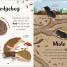 The Bedtime Book of Animals - thumbnail of spread image 1 Thumbnail image of The Bedtime Book of Animals - 1