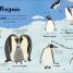 The Bedtime Book of Animals - thumbnail of spread image 3 Thumbnail image of The Bedtime Book of Animals - 3