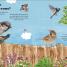 Rory the Garden Bird - thumbnail of spread image 3 Thumbnail image of Rory the Garden Bird - 3