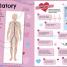 The Fact-Packed Activity Book: Human Body - thumbnail of spread image 4 Thumbnail image of The Fact-Packed Activity Book: Human Body - 4