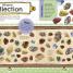 Thumbnail image of The Fact-Packed Activity Book: Rocks and Minerals - 2