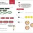 Maths — No Problem! Fractions, Ages 7-8 (Key Stage 2) - thumbnail of spread image 4 Thumbnail image of Maths — No Problem! Fractions, Ages 7-8 (Key Stage 2) - 4