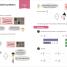 Maths — No Problem! Fractions and Decimals, Ages 8-9 (Key Stage 2) - thumbnail of spread image 1 Thumbnail image of Maths — No Problem! Fractions and Decimals, Ages 8-9 (Key Stage 2) - 1