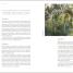 RHS Roses - thumbnail of spread image 2 Thumbnail image of RHS Roses - 2