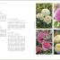 RHS Roses - thumbnail of spread image 4 Thumbnail image of RHS Roses - 4