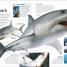 Thumbnail image of Shark - 1