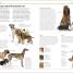 Dogs - thumbnail of spread image 1 Thumbnail image of Dogs - 1