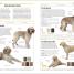 Dogs - thumbnail of spread image 4 Thumbnail image of Dogs - 4