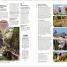 DK Eyewitness Seville and Andalucia - thumbnail of spread image 8 Thumbnail image of DK Eyewitness Seville and Andalucia - 8
