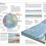 The Oceans Atlas - thumbnail of spread image 1 Thumbnail image of The Oceans Atlas - 1