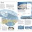 The Oceans Atlas - thumbnail of spread image 2 Thumbnail image of The Oceans Atlas - 2