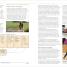 Thumbnail image of Complete Horse Riding Manual - 3