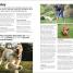 The Beginner's Dog Training Guide - thumbnail of spread image 1 Thumbnail image of The Beginner's Dog Training Guide - 1