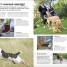 The Beginner's Dog Training Guide - thumbnail of spread image 3 Thumbnail image of The Beginner's Dog Training Guide - 3