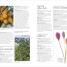 Thumbnail image of Encyclopedia of Herbal Medicine New Edition - 5