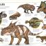 Dinosaur Knowledge Genius! - thumbnail of spread image 4 Thumbnail image of Dinosaur Knowledge Genius! - 4