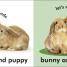 Baby Touch and Feel Bunny - thumbnail of spread image 2 Thumbnail image of Baby Touch and Feel Bunny - 2