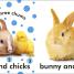 Baby Touch and Feel Bunny - thumbnail of spread image 3 Thumbnail image of Baby Touch and Feel Bunny - 3