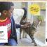 My Book of Cats and Kittens - thumbnail of spread image 1 Thumbnail image of My Book of Cats and Kittens - 1