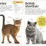 My Book of Cats and Kittens - thumbnail of spread image 2 Thumbnail image of My Book of Cats and Kittens - 2