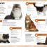 My Book of Cats and Kittens - thumbnail of spread image 3 Thumbnail image of My Book of Cats and Kittens - 3