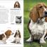 Thumbnail image of The Dog Encyclopedia - 5