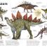 Thumbnail image of Our World in Pictures The Dinosaur Book - 2