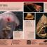 1,000 Amazing Weird Facts - thumbnail of spread image 5 Thumbnail image of 1,000 Amazing Weird Facts - 5