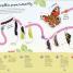 Thumbnail image of RHS Ultimate Sticker Book Garden Bugs - 3