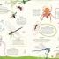 Thumbnail image of RHS Ultimate Sticker Book Garden Bugs - 6