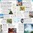 DK Eyewitness Top 10 Toronto - thumbnail of spread image 3 Thumbnail image of DK Eyewitness Top 10 Toronto - 3