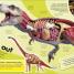 Everything You Need to Know About Dinosaurs - thumbnail of spread image 1 Thumbnail image of Everything You Need to Know About Dinosaurs - 1
