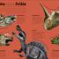 Everything You Need to Know About Dinosaurs - thumbnail of spread image 3 Thumbnail image of Everything You Need to Know About Dinosaurs - 3