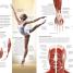 Human Body - thumbnail of spread image 2 Thumbnail image of Human Body - 2