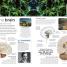 Human Body - thumbnail of spread image 3 Thumbnail image of Human Body - 3