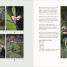 The Money-Saving Gardener - thumbnail of spread image 5 Thumbnail image of The Money-Saving Gardener - 5